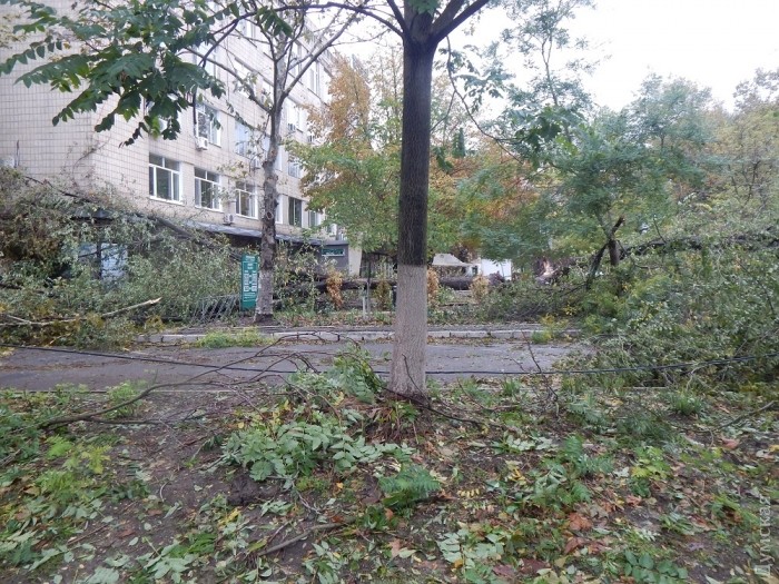 На летней площадке "Совы" 