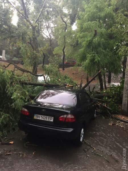 Ветка повредила автомобиль, припаркованный во дворе по адресу по улице Черняховского, 12а