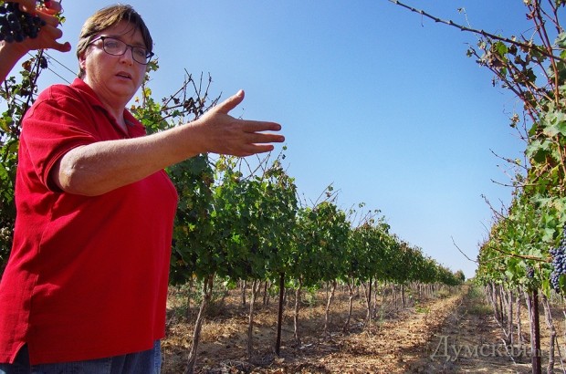 Пробуем виноград. Мелкий, но очень сладкий