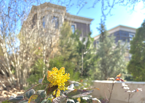 Одесса расцвела: город упрямо продолжает жить — назло врагу (фотозарисовка)