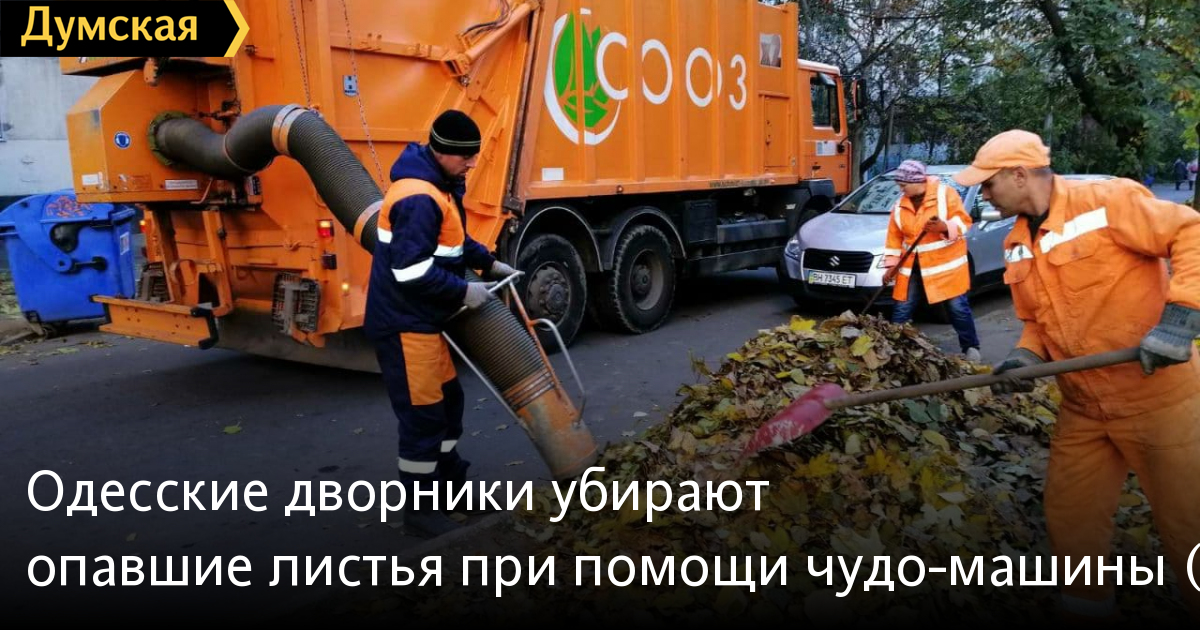 odesskie dvorniki ubirayut opavshie listya pri pomoshi chudo mashiny foto novosti odessy