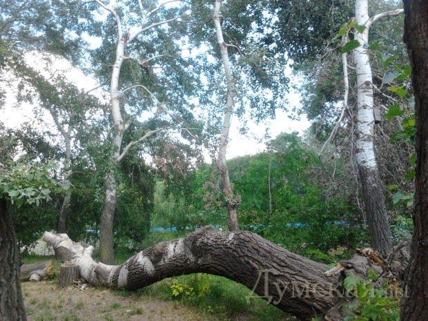 ����� ����� ������