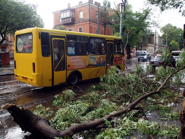 ����������������������. ����: �. ���������