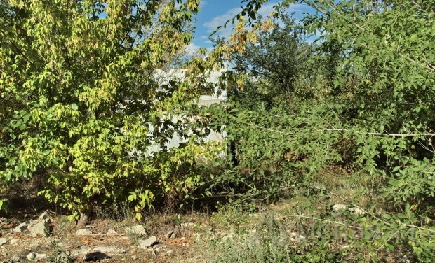 ������������ ������ ������ ������� ���������