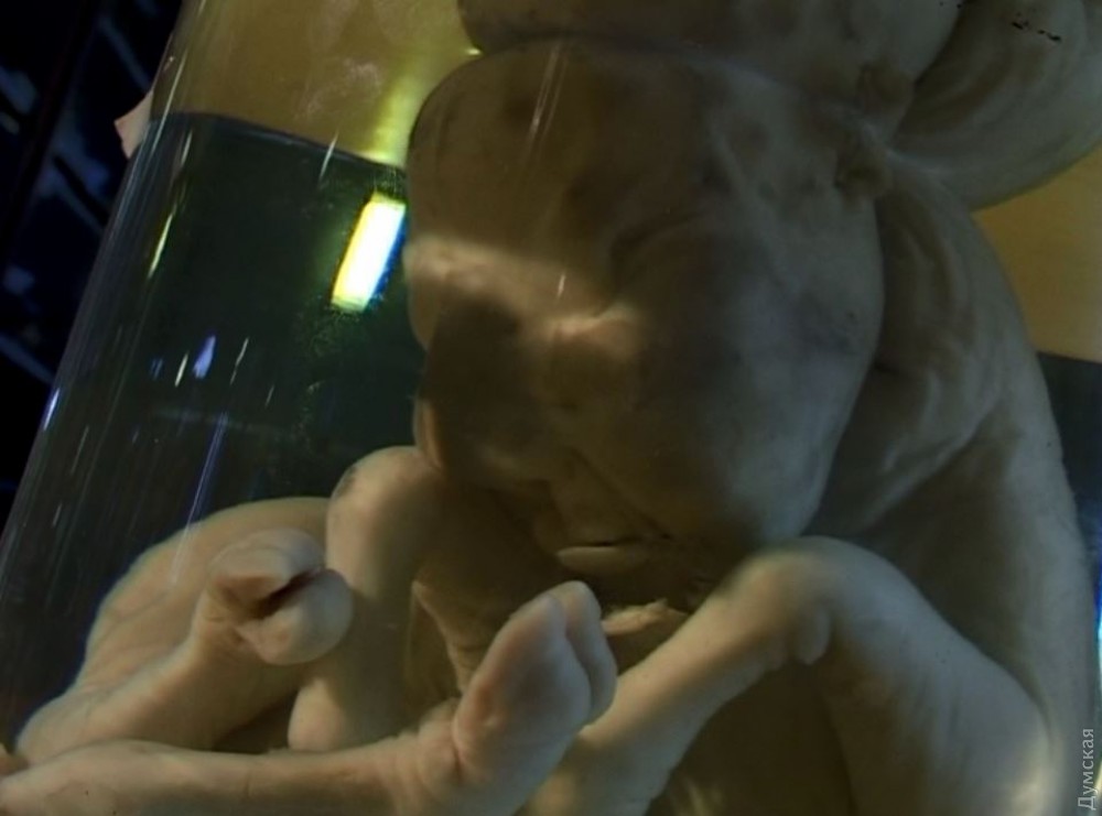 "���������"