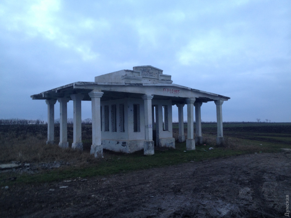 ���� ����������� 