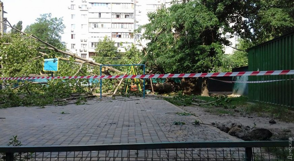 ����� � ���� - ����� � �������, 6