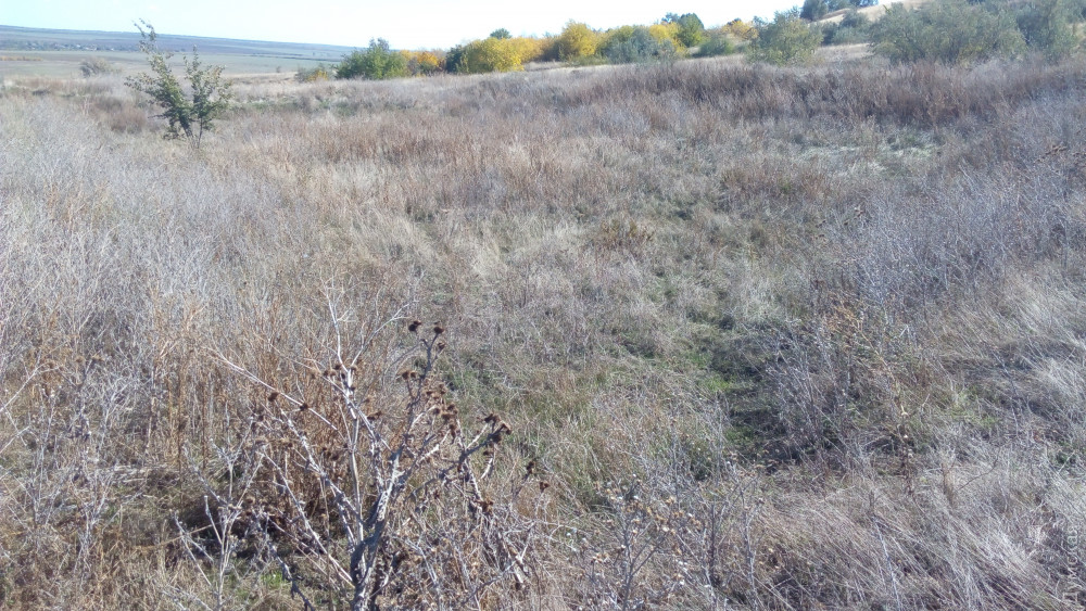 ������ ��������������. ������������ �� ���������, ��� ������ ������ 