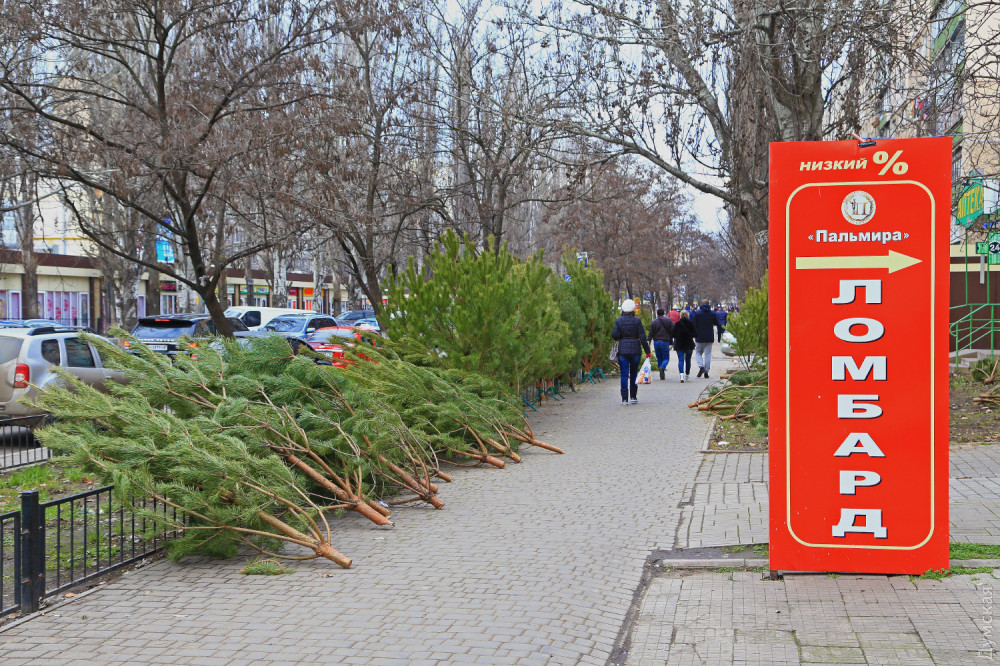 ������ ���������� ������� ������������ � ������ �������