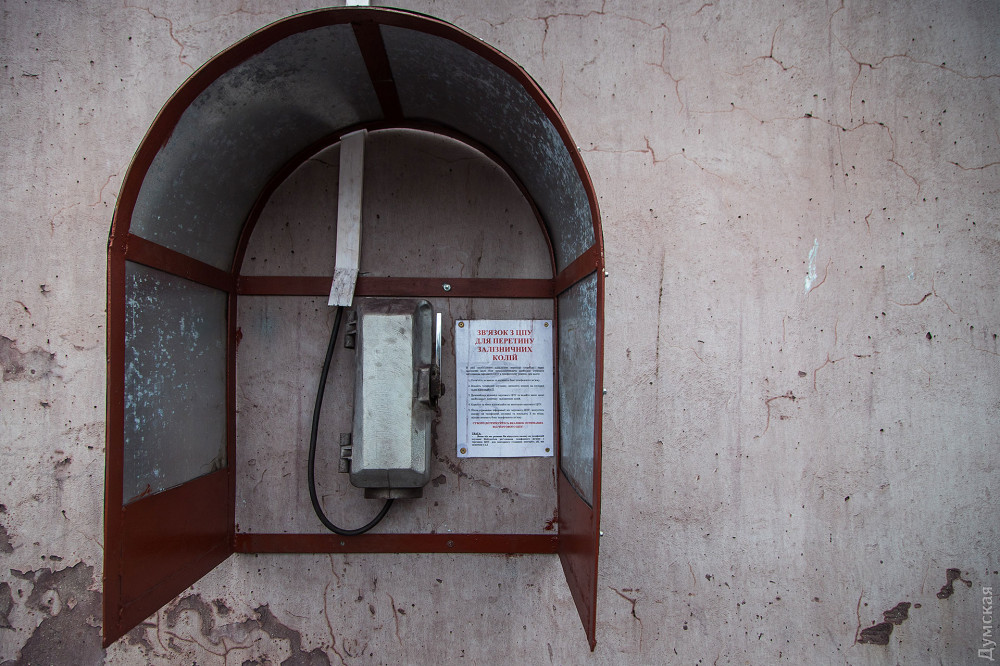 ������ ������� ����� ������ - ����� ���������