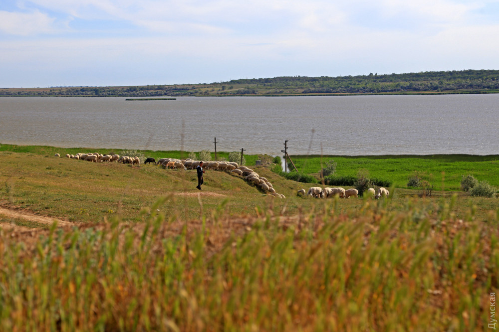 ����� �������� ������� ��������� ��������� �����