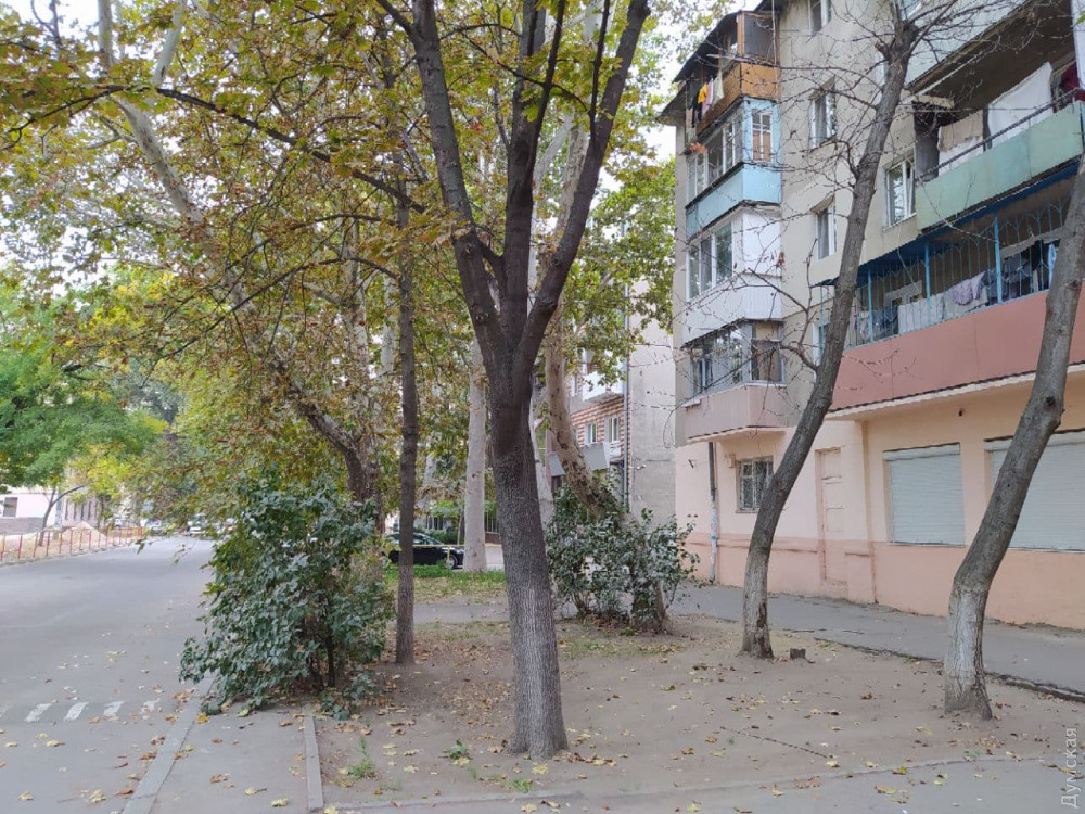 ����������� �����