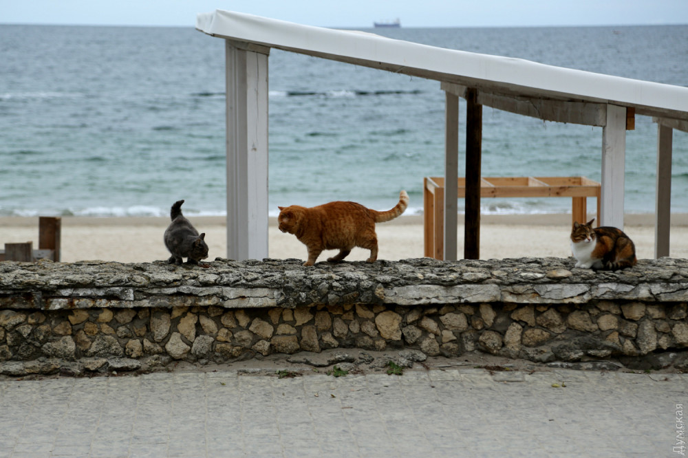 �� ���� ��� �������� �����?!