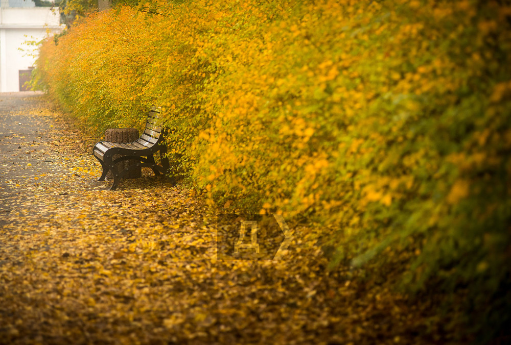 4 ������ 2021. ������� ����� � ������