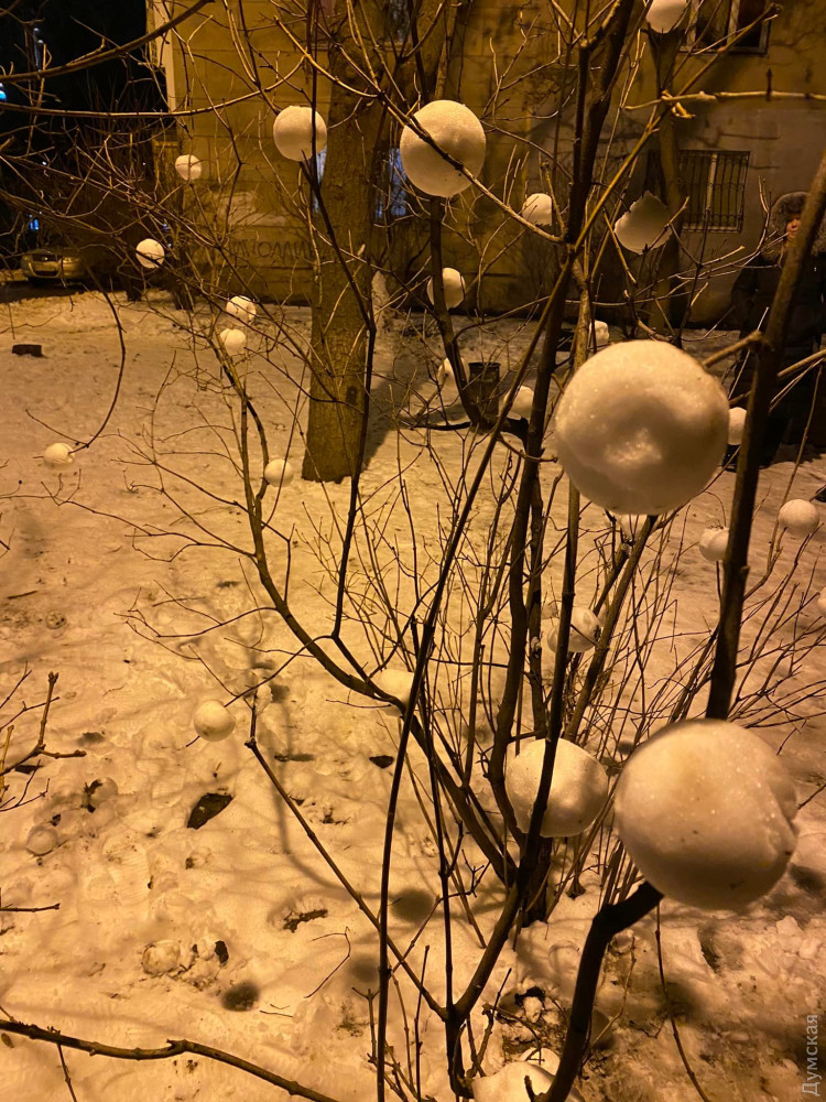 ���� - ���� �������