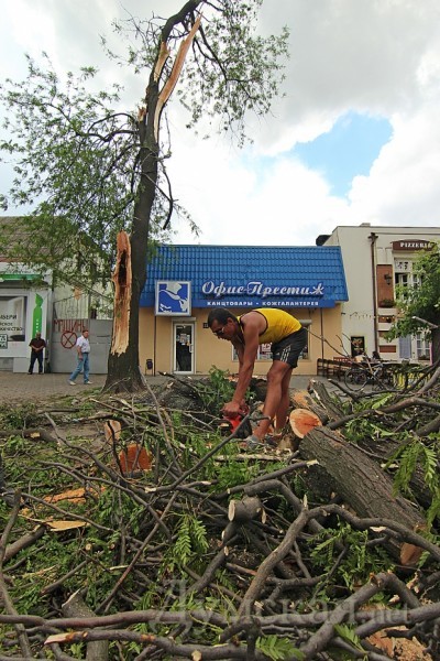 �� ������� ���������� ���������� ����������� �������� ������ ������� ��������