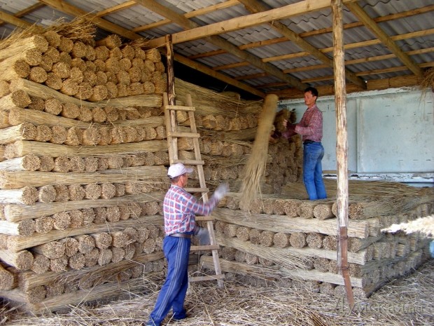 �������������, ���� ������� ��������