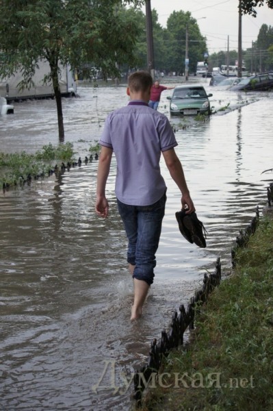 ����������. ����: ������� ��������