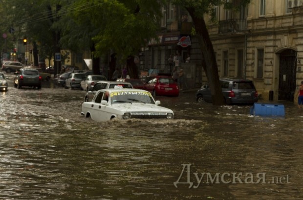 ���������. ����: ������������ "�������"