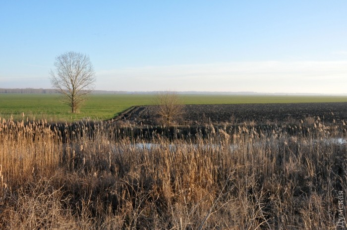 ���������� ���� �� ������