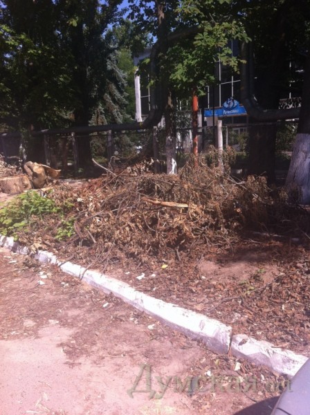 ����������� ��������