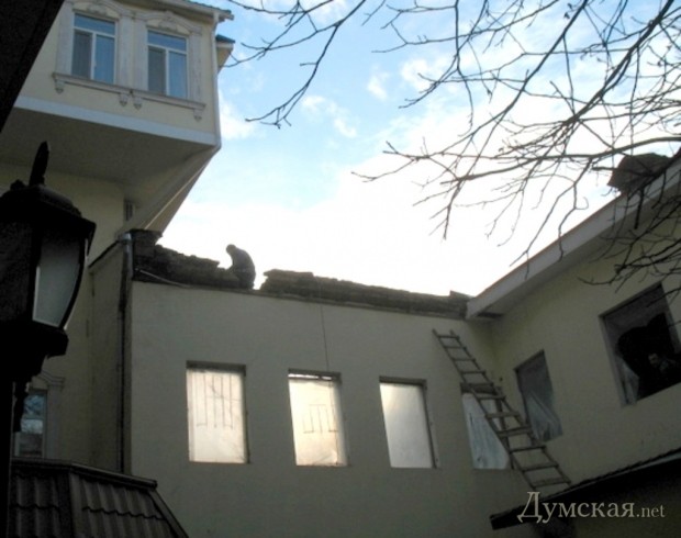 ��� �������� ���������� ������� 20 ������� 2014 ����