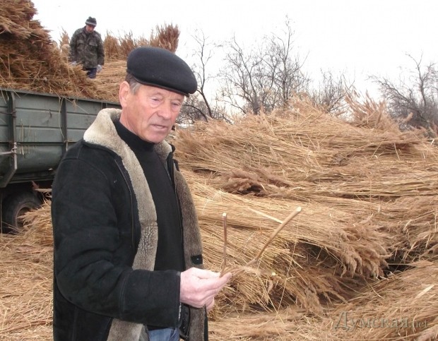 �������� ���������� ������������ ����� ������� "������" ������ ������� 