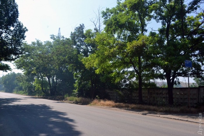 �� ����� ������� ���� ����������� ����������