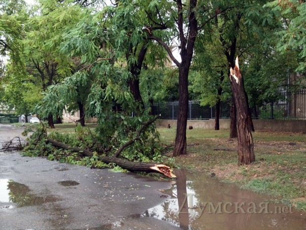 �����������������. ����: �. ���������