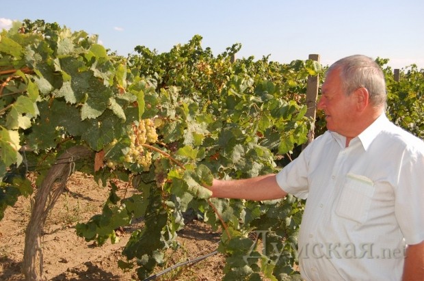 �������� "������������� �����", ������ ������ ������� � ������. ����������� - �� 90 �/��