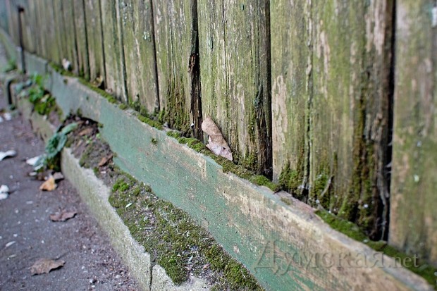 ������� ����� �������� ����� ��������