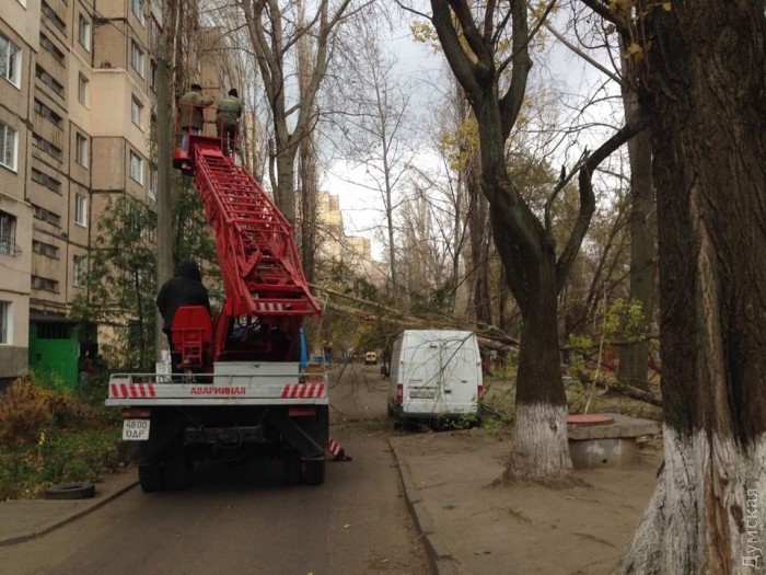 ���� ������ �����������