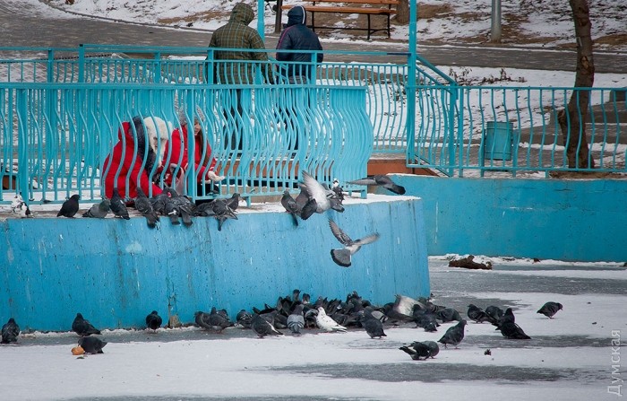 ���������� ������ ������