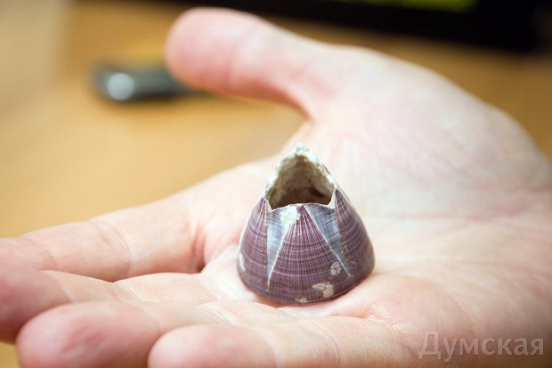 ����������� ����� ��������