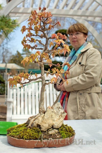 ��� ��������������, 23-������ � ����� Sekijoju (������ �� �����)