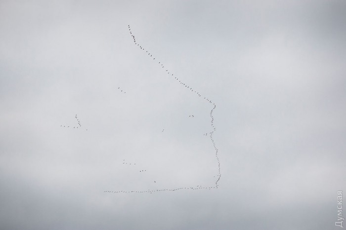 �����, ����� ����� �� ��