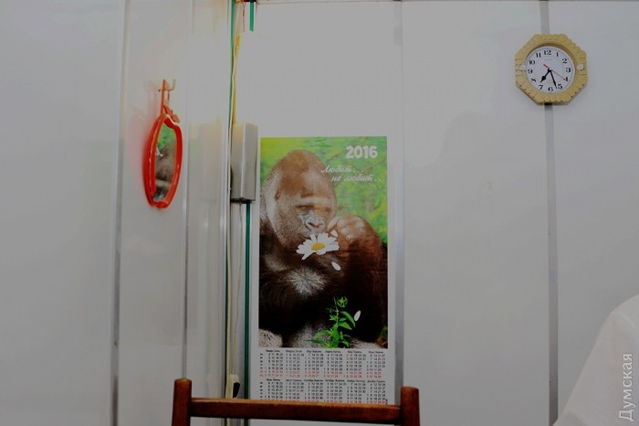 � ����� ��� ��������