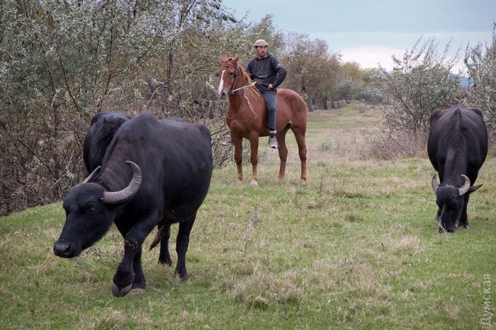 ������������ ����� ��� ����� �������� �� ����� ������� ��� ����� � �������. ��� � � �����, ���� ����, �������