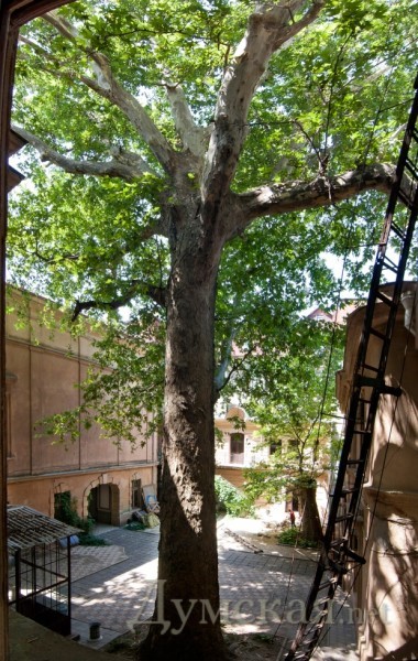 ��������, ���������� ���� ����, ������� �� ���, ������� ����� �������. ������� ����� ������ ������������� ���������