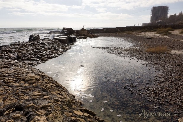 ������� ������������, ������� ������������� ��� ������ "����������", � ������� ����� ���������� ����