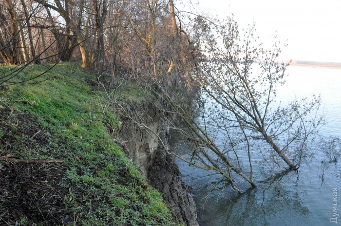 ����� � ���� - ����� ������� �� ������� �����