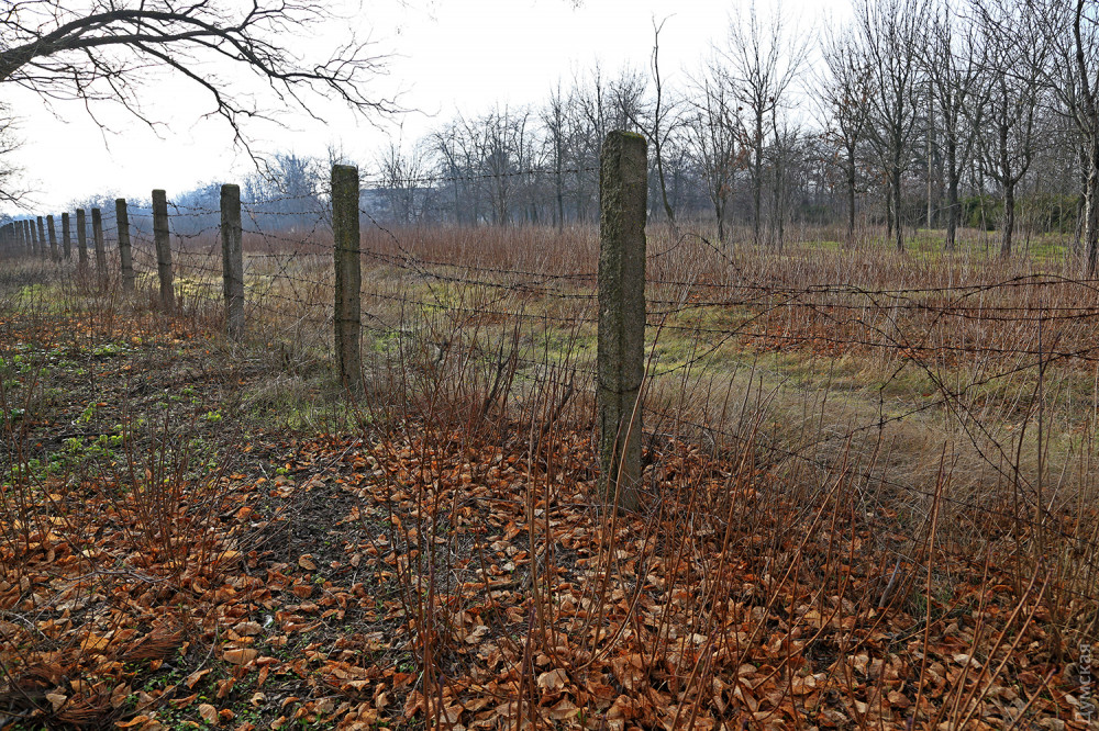 �� ������� - �������� �����