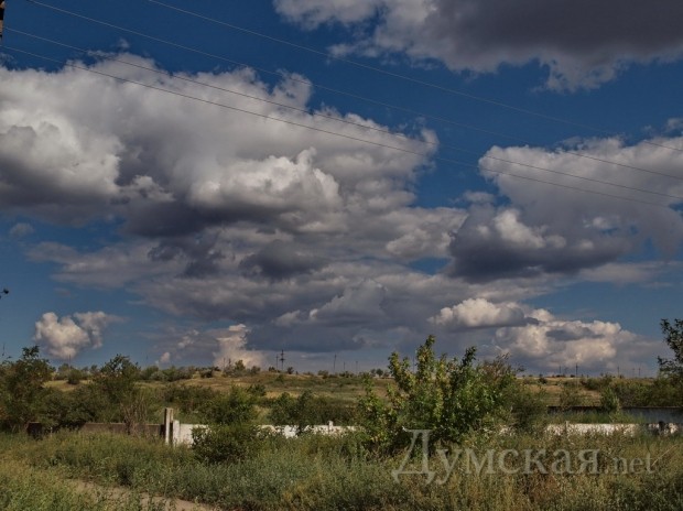 ��� �����