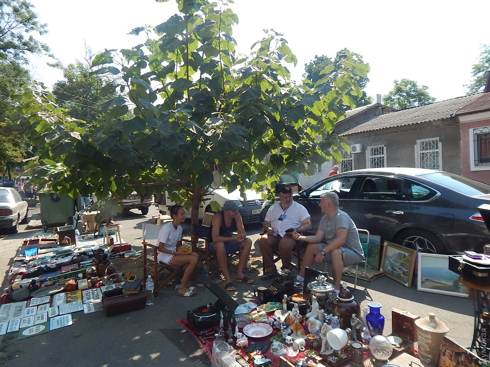 ��� ����� ���������