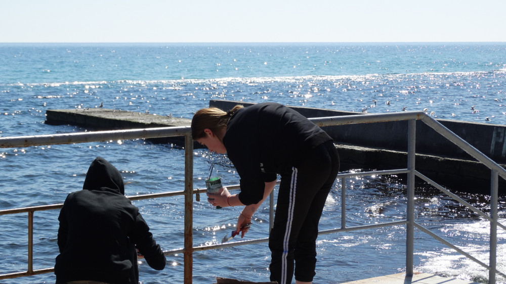 �������� �� ���������� � �����