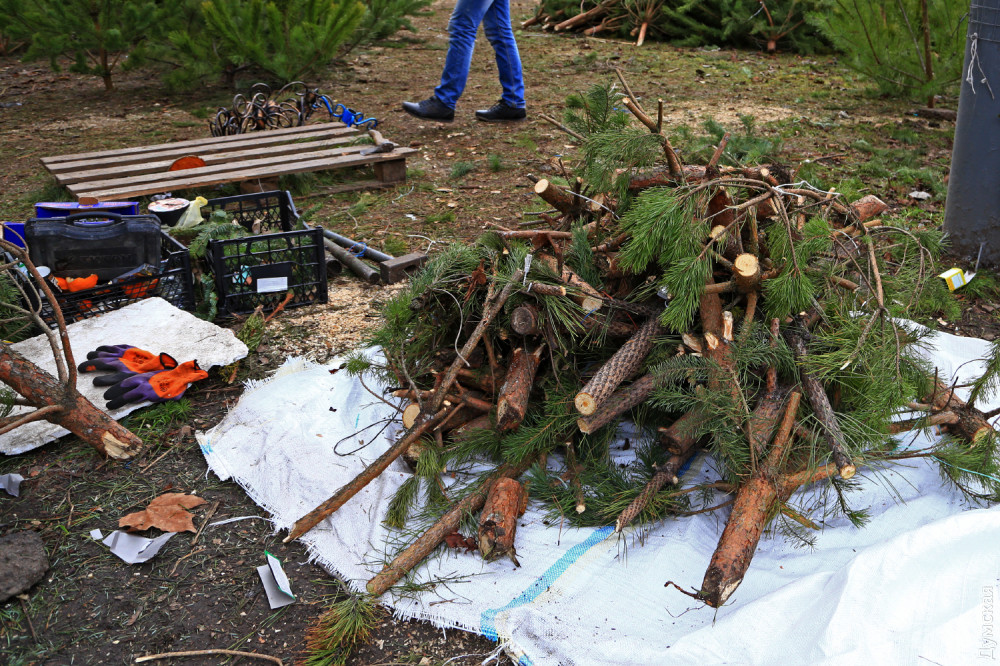 ������ ������ � ���������� � ���������