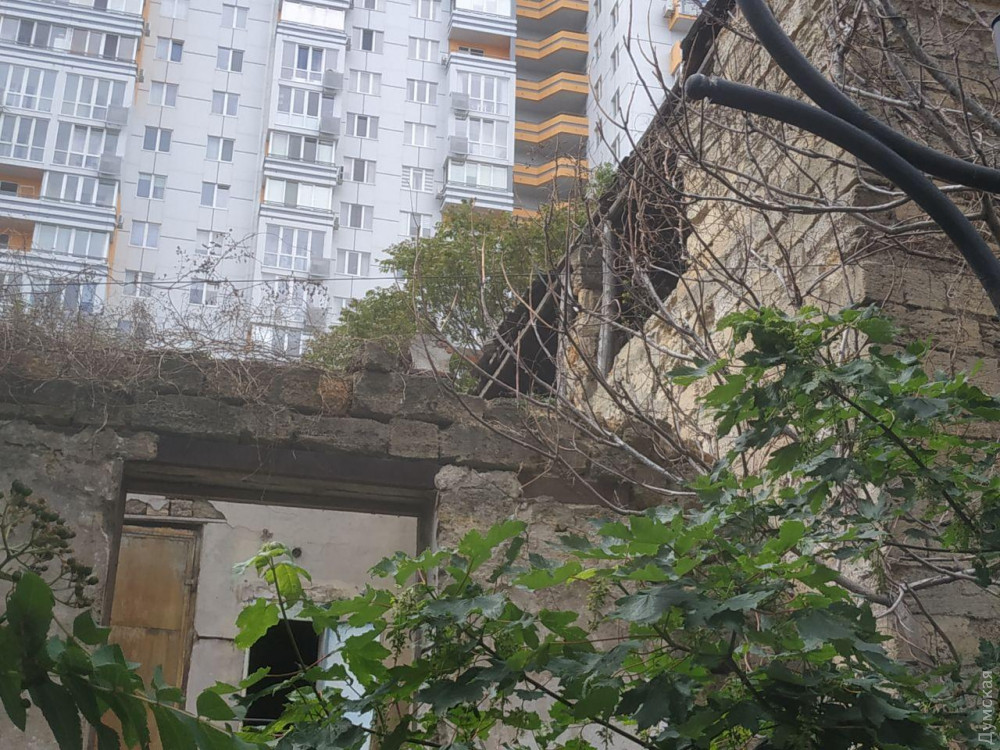 ��������� � 2016 ���� �������