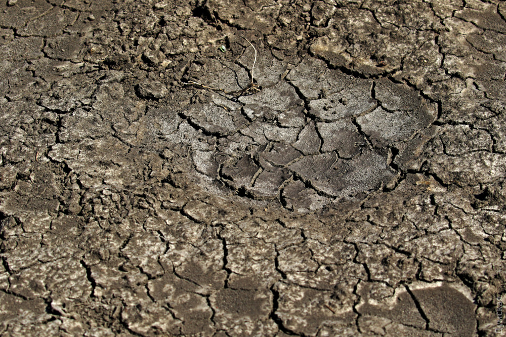 �������� ����� ����