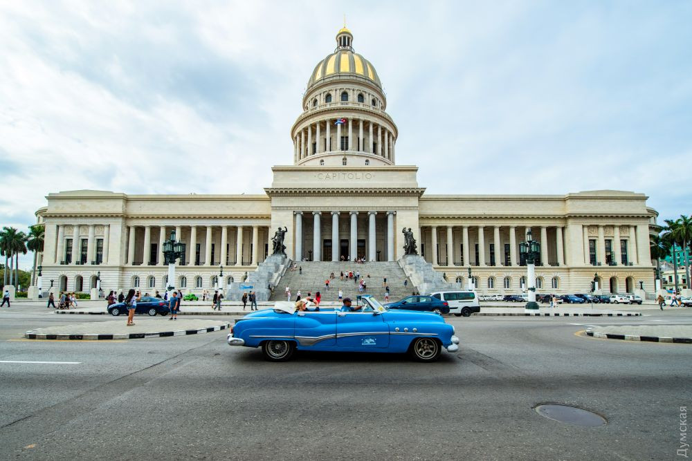 ����������� � ���������: ����������� ���� � 50 �������� ������