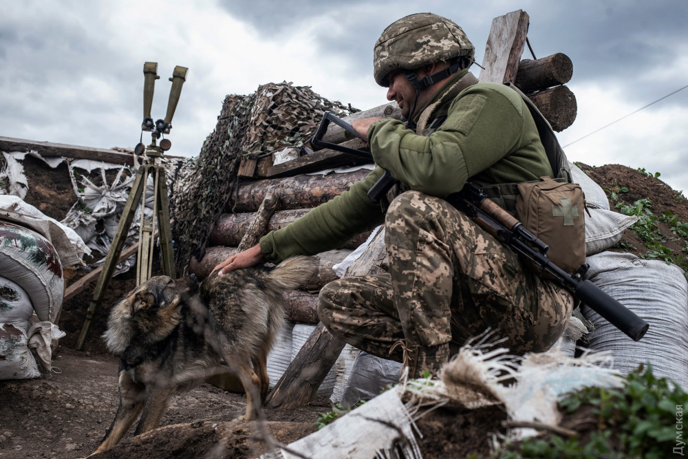 ���. ���� 93 ���� �������� ��